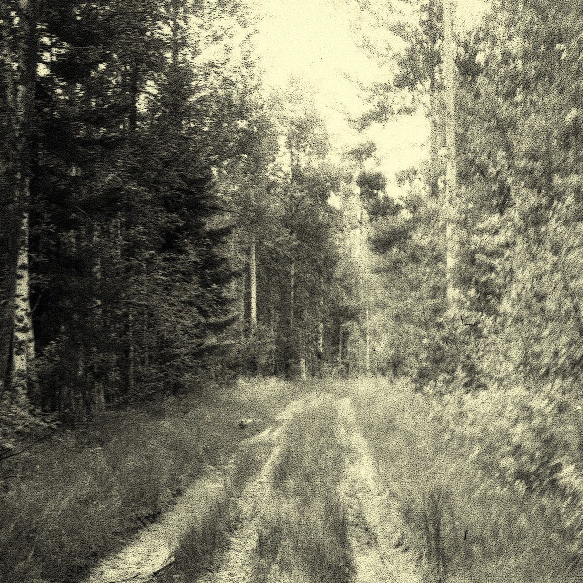 дороги 80-х (фото автора)