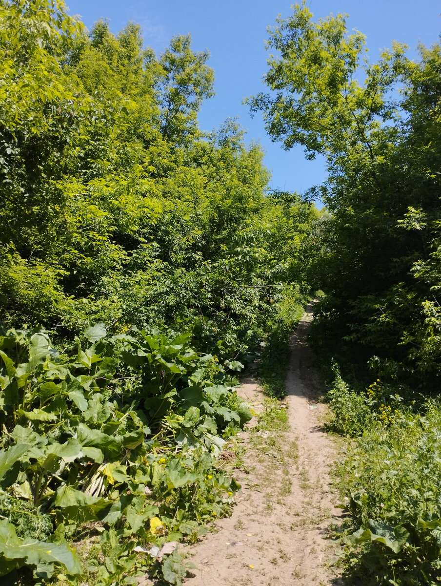 Подъём из оврага