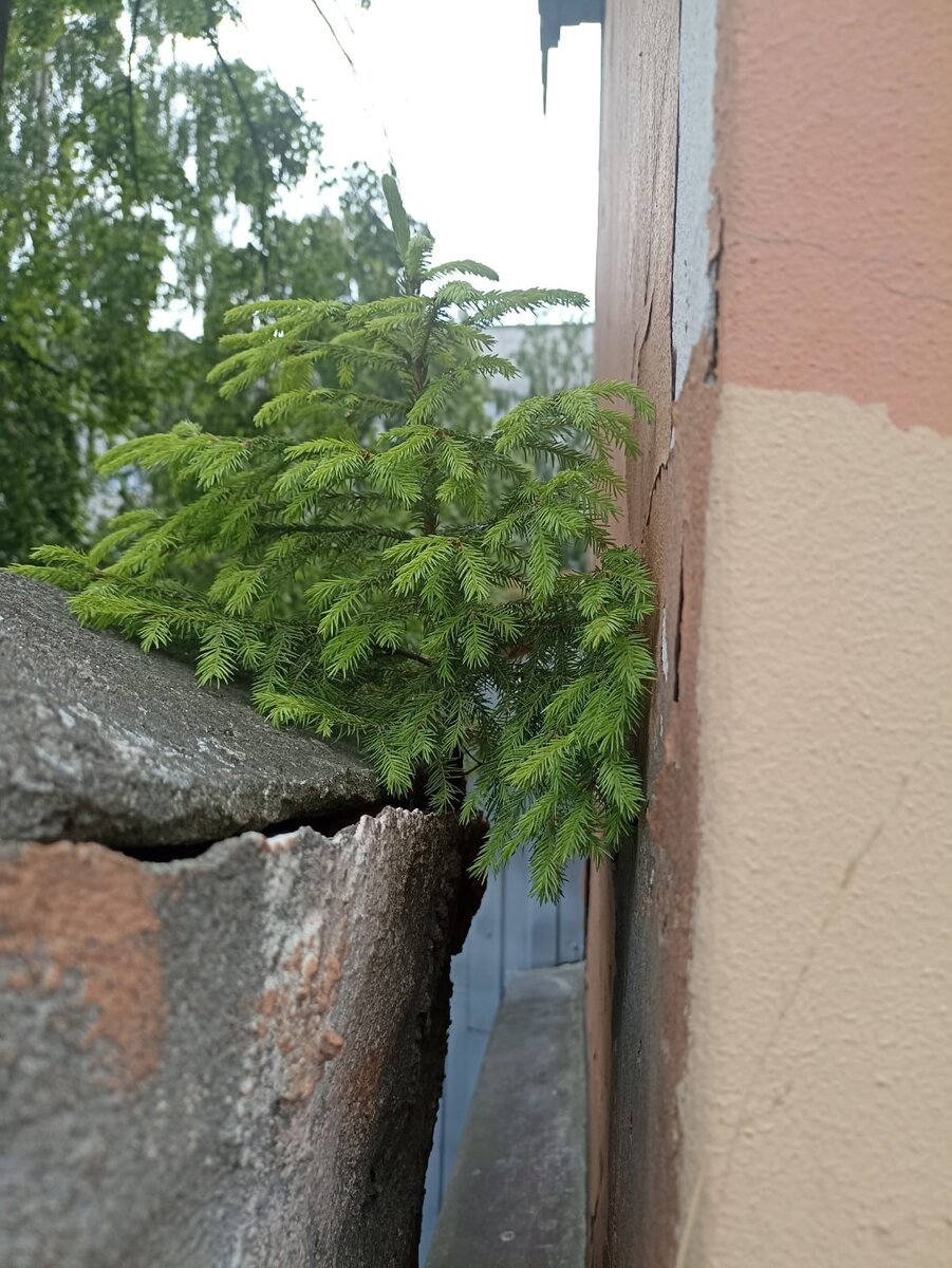 Фотография проекта Чумодан