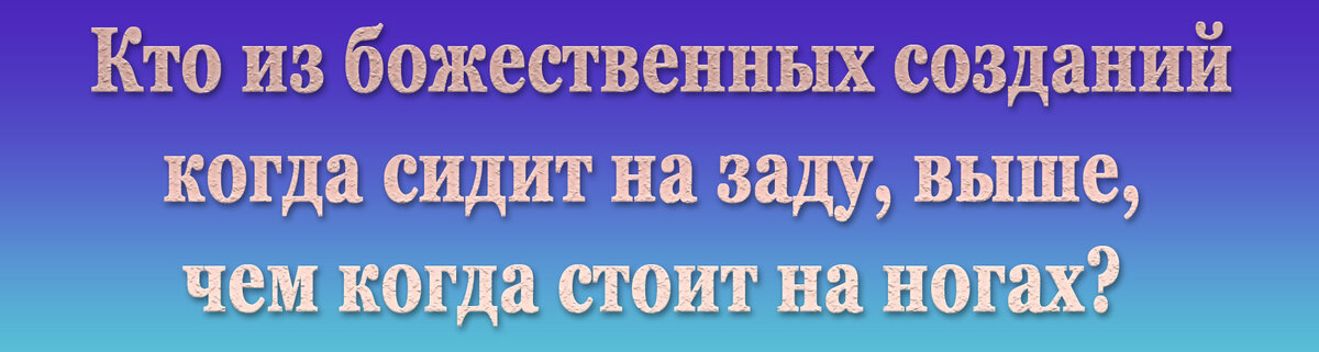� ����� (���, �����) � ���� ������ �� �������� �����, ������������ ������ ������� ������� � �������� ������� ���, ��� ������� �������.-5