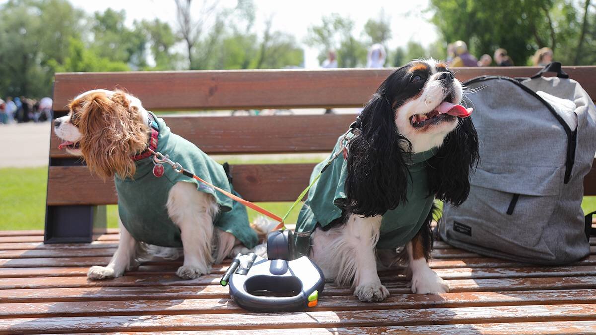    Фото: Артур Новосильцев / АГН Москва