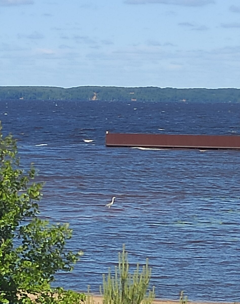 горьковское море нижегородской области