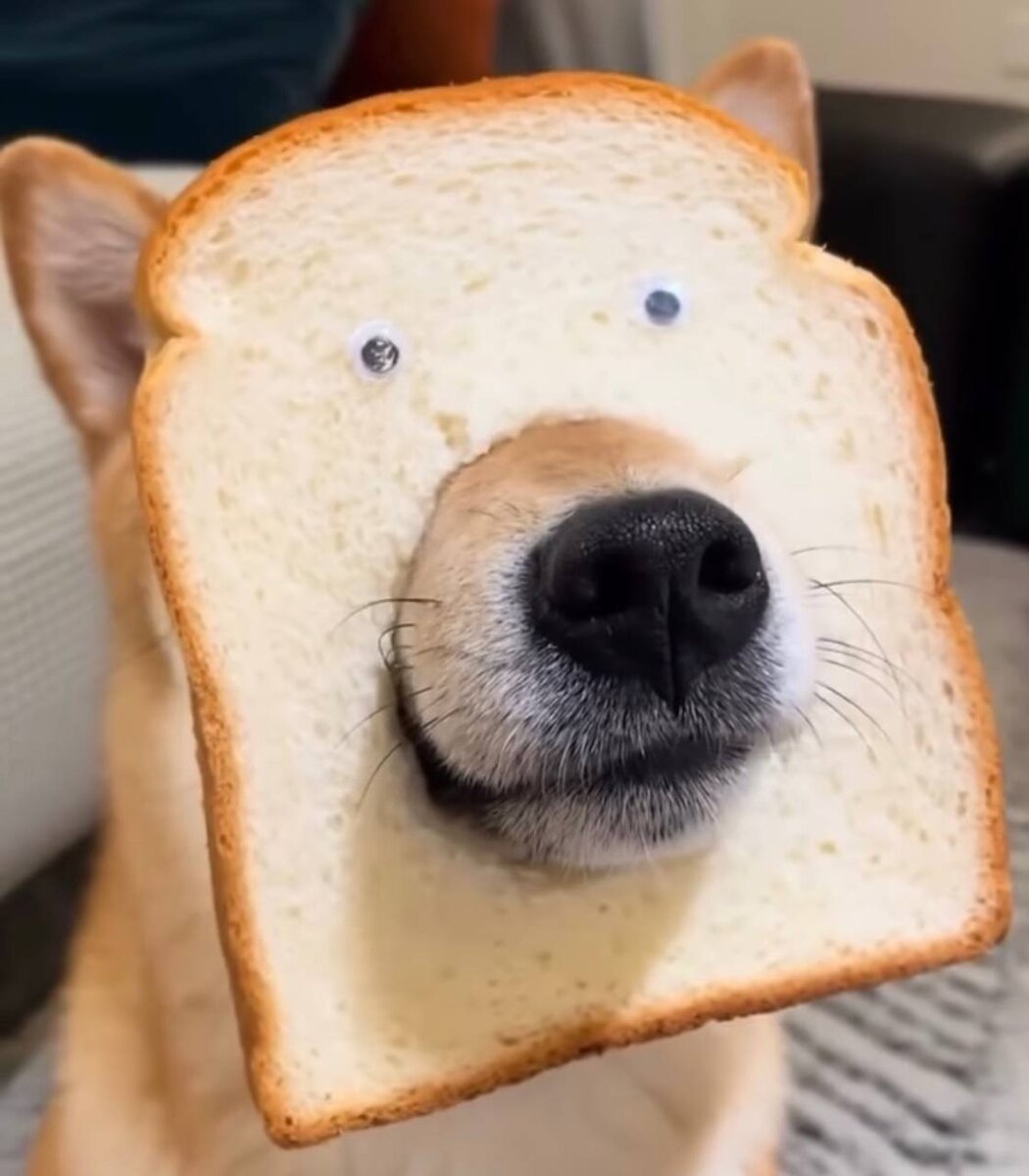 Имеющий глаза-да увидит, имеющий уши - да услышит