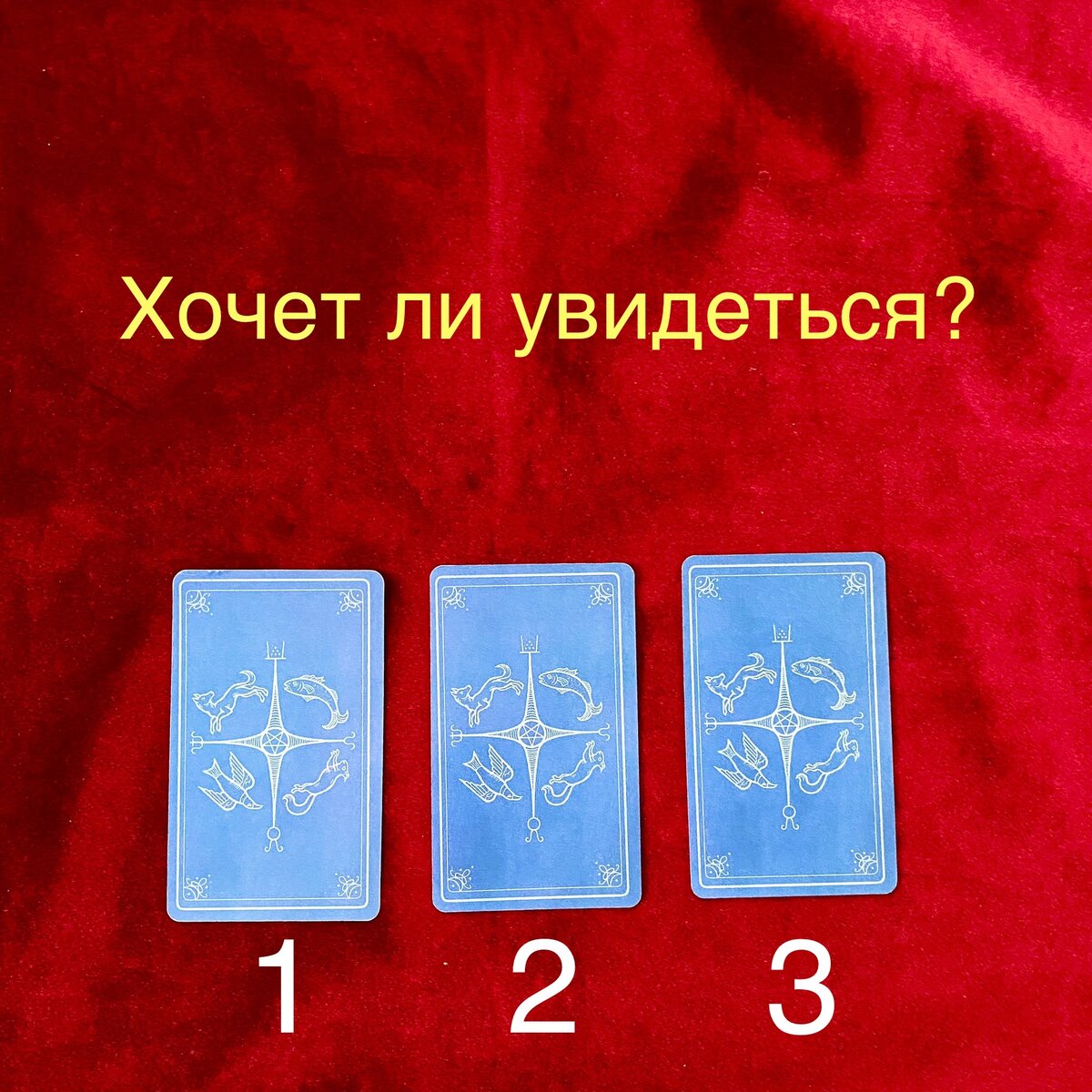Выберите одну карту и запомните её номер 