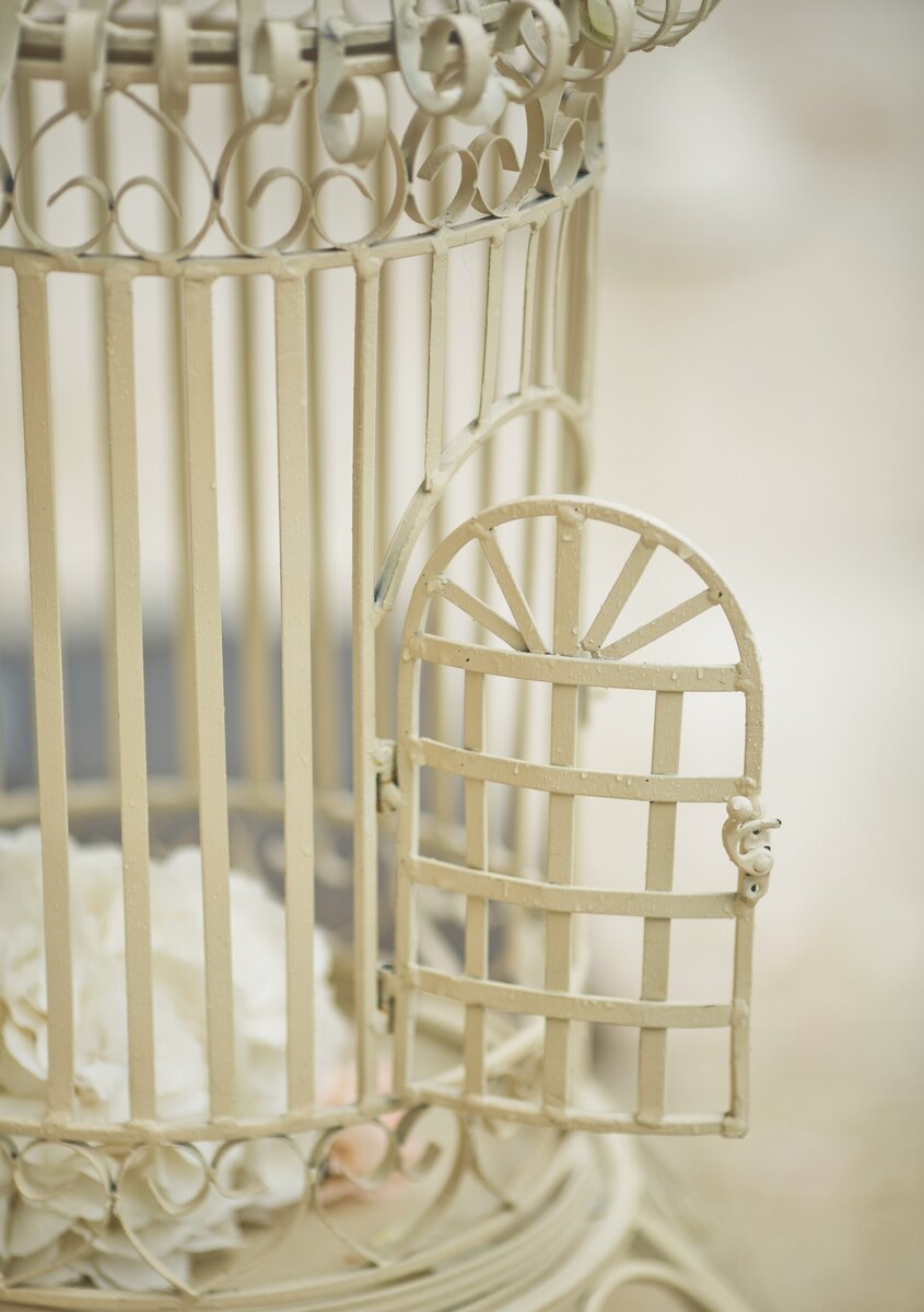  Изображение от v.ivash на Freepik 