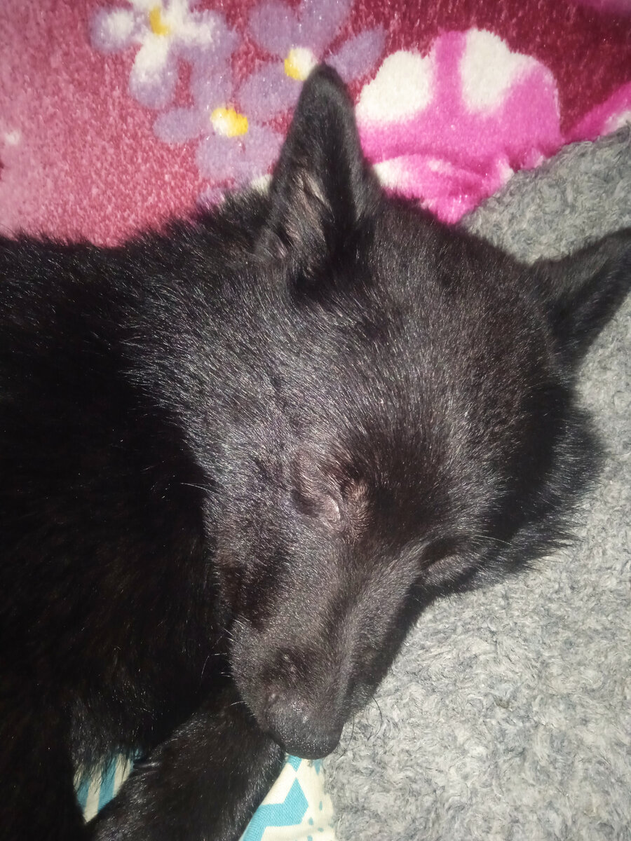 G сладко спит🤗 