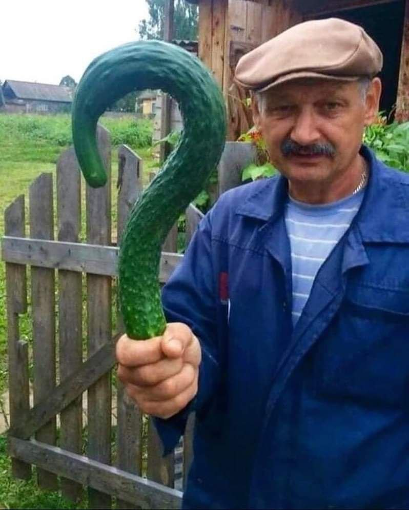 Добавьте описание