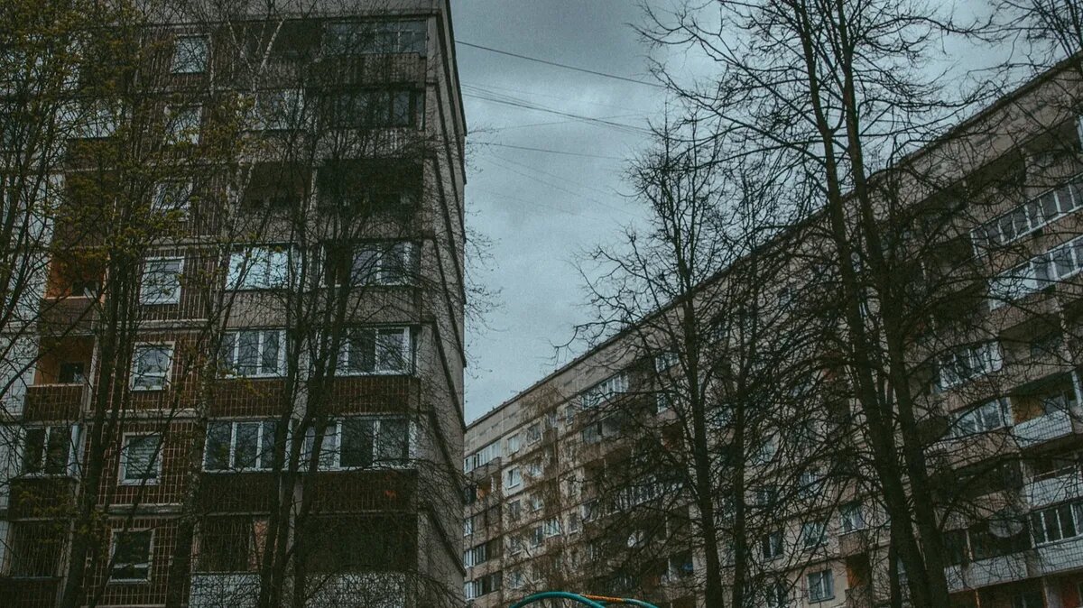 Фото: Pexels.com