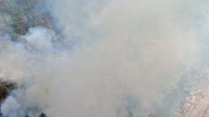 ФОТО: THOMAS SCHULZ/DPA/GLOBALLOOKPRESS