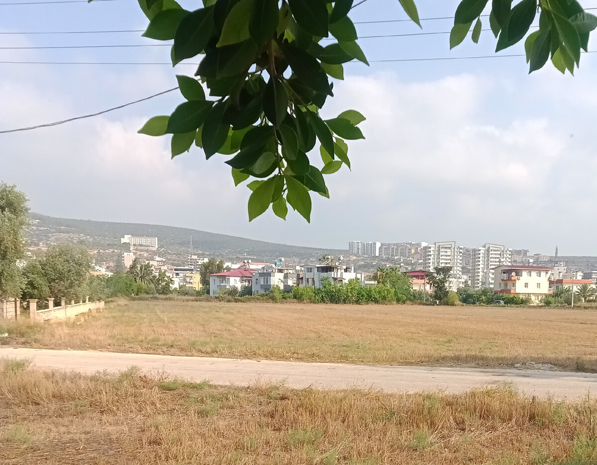 То, что я сейчас вижу, когда не смотрю в телефон.