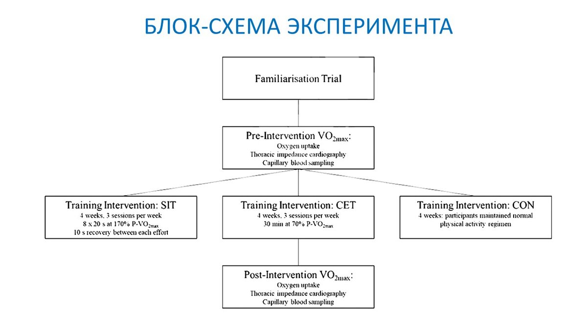 Рисунок 1. Экспериментальные группы и их тренировочные программы.