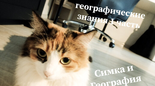 Географические знания 1 часть, подпишись и лайк поставь)))😸🎓