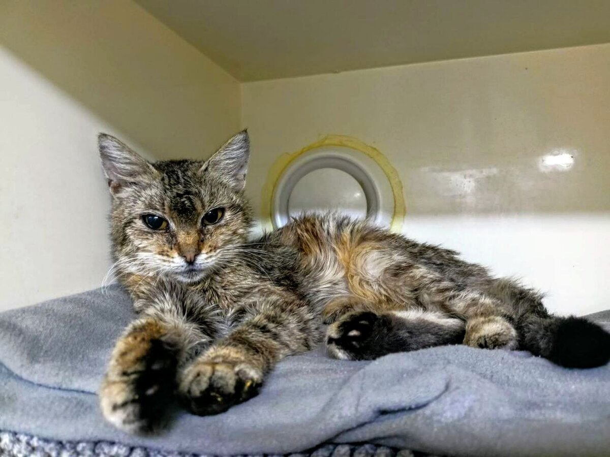 Василиса очень доверяет людям