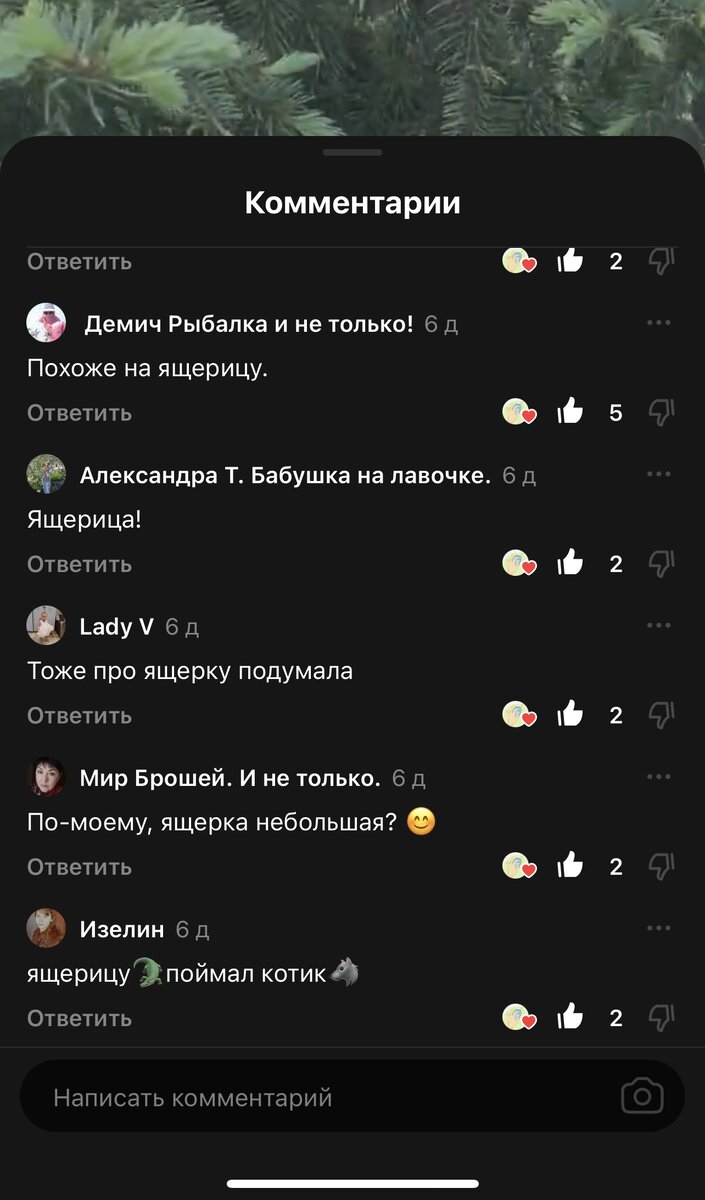 Скрин ответов