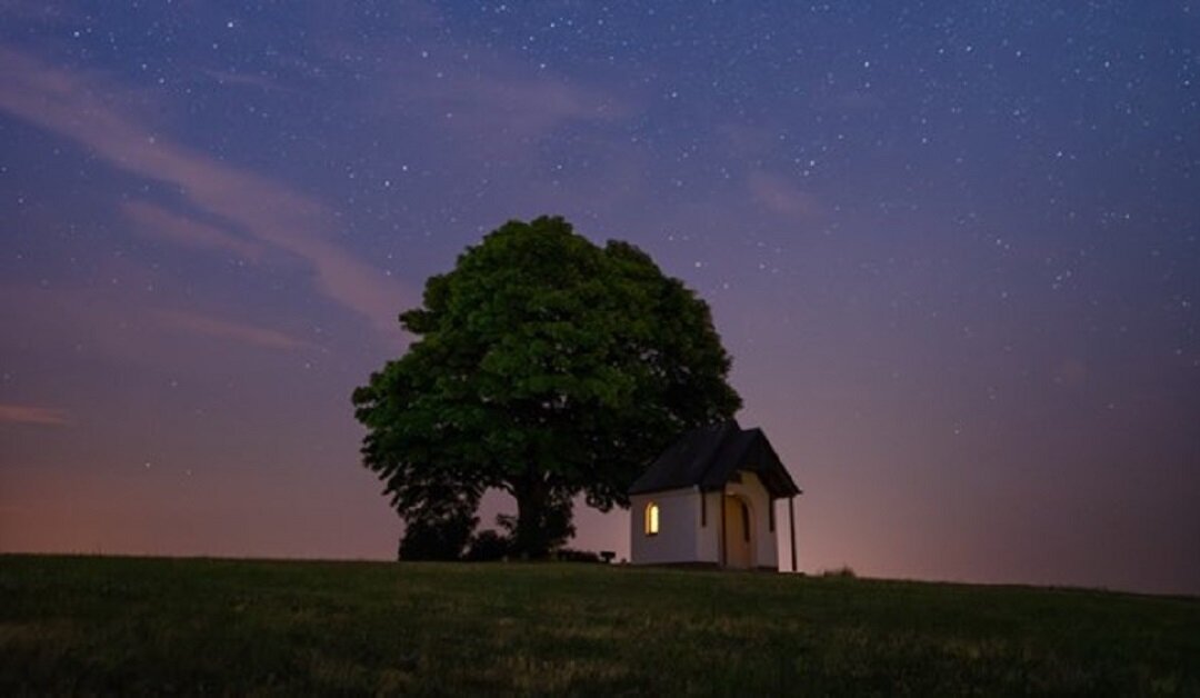 Источник: https://unsplash.com/