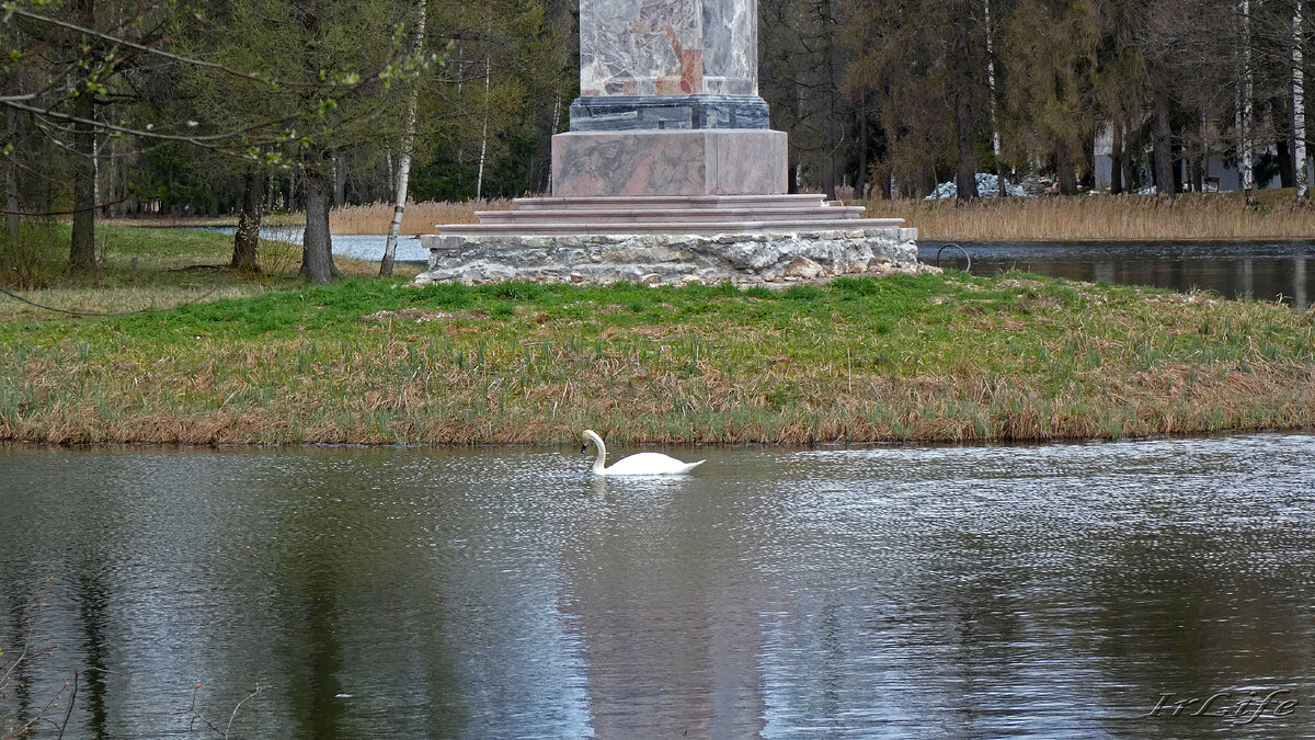 Гатчинский парк. Айседора. 29.04.2023 г.