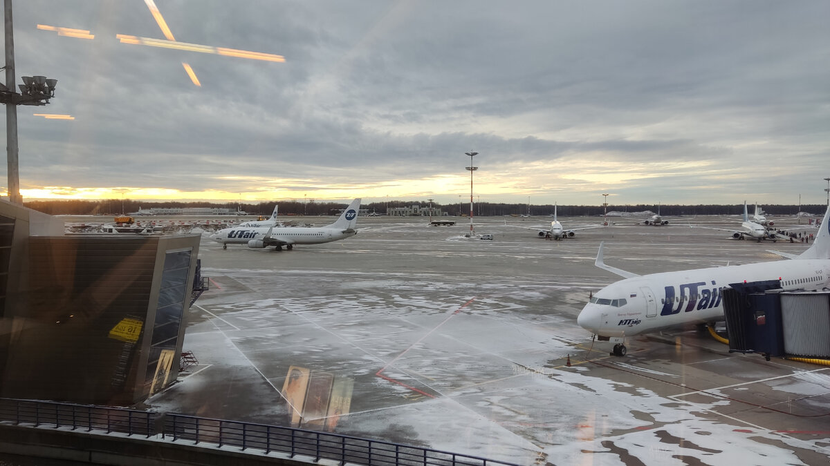 Рассвет во Внуково