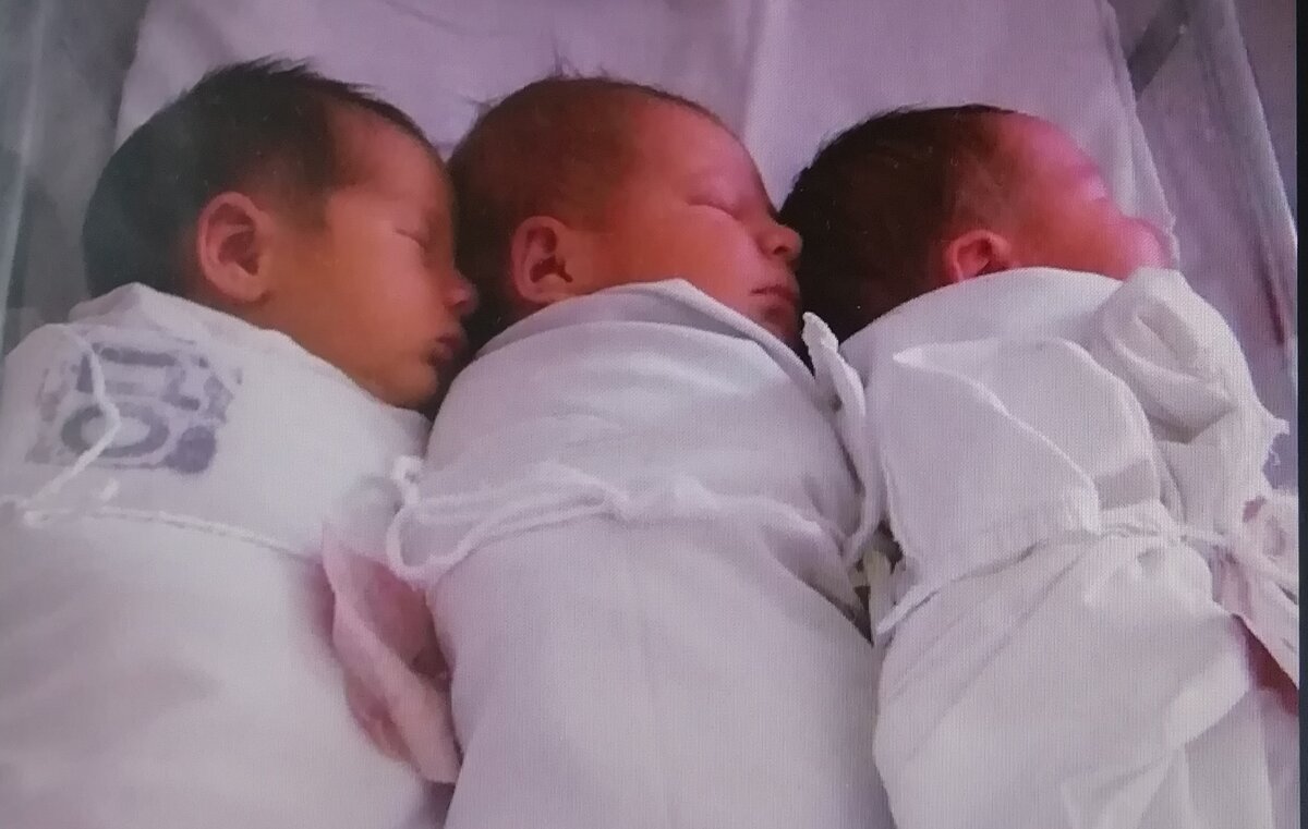 Сыновья Махмуда и Селимие