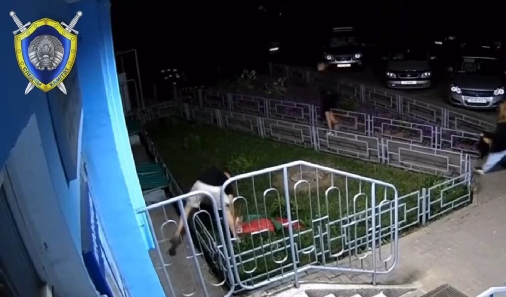   Фото: Скриншот видео Елена Стеценко