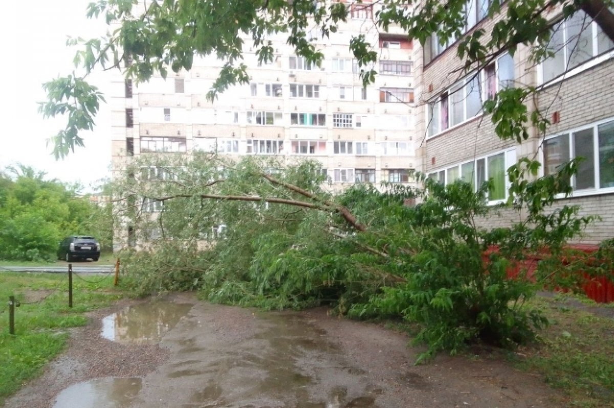    Последствия непогоды устраняют в Томске городские службы