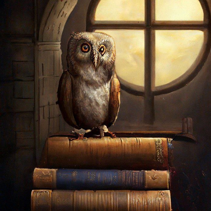 Сова жила в доме старой Ведьмы