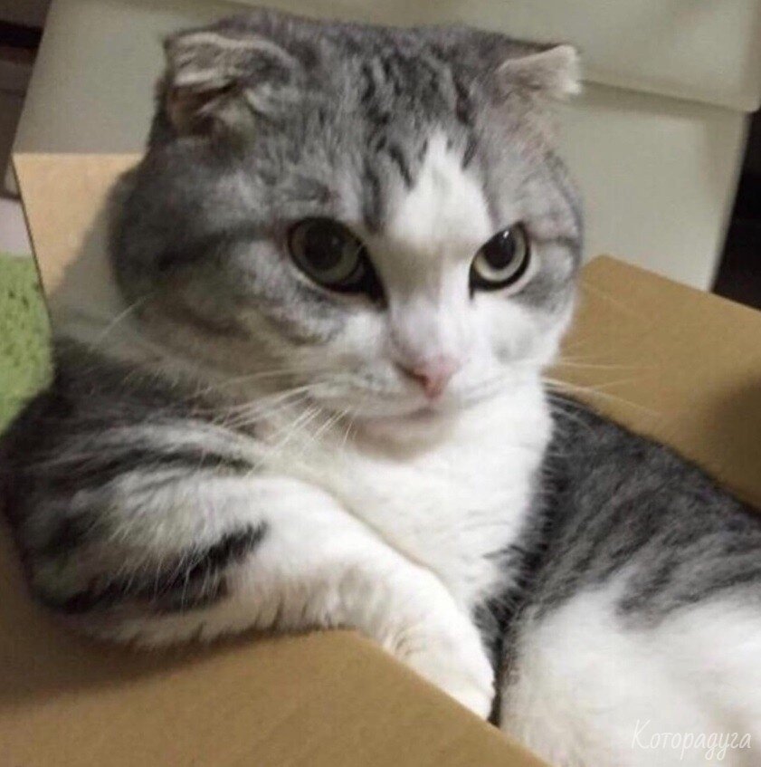 Источник: pinterest.com