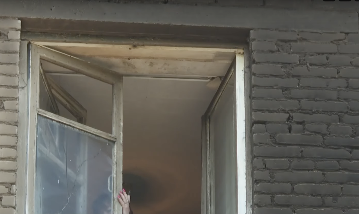 Фото: ЛенТВ24
