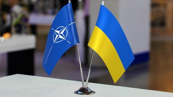    В Киеве заявили, что Зеленский не поедет на саммит НАТО, если страну не пригласят в Альянс Анна Белая