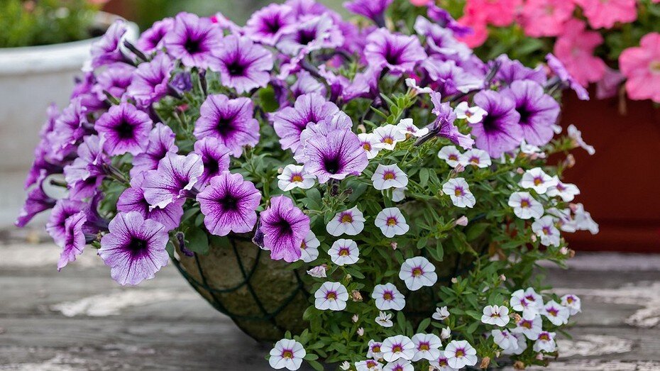 ShutterStock/Fotodom.ru 