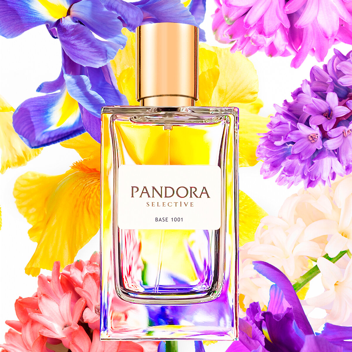 Pandora selective base. Pandora selective base 1916. Pandora selective base 1916. Pandora selective base. Pandora selective base.