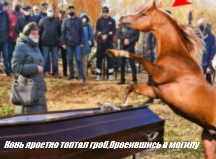 Конь яростно топтал гроб,бросившись в могилу