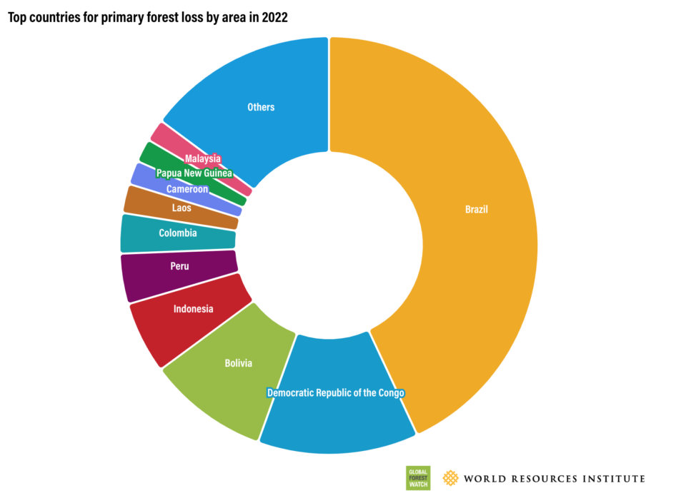 страны с наибольшим уровнем потери первичных лесов.