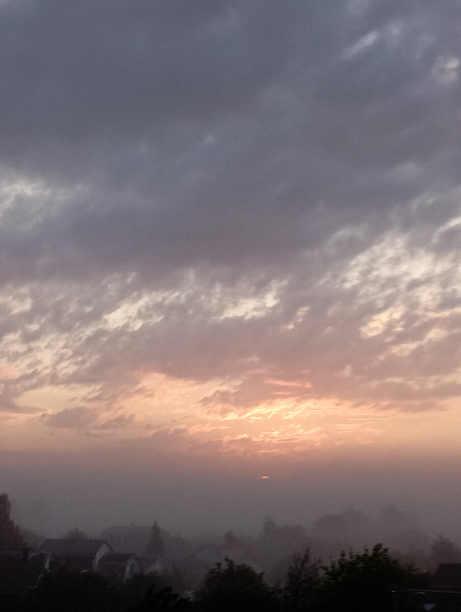 Нестандартное хобби