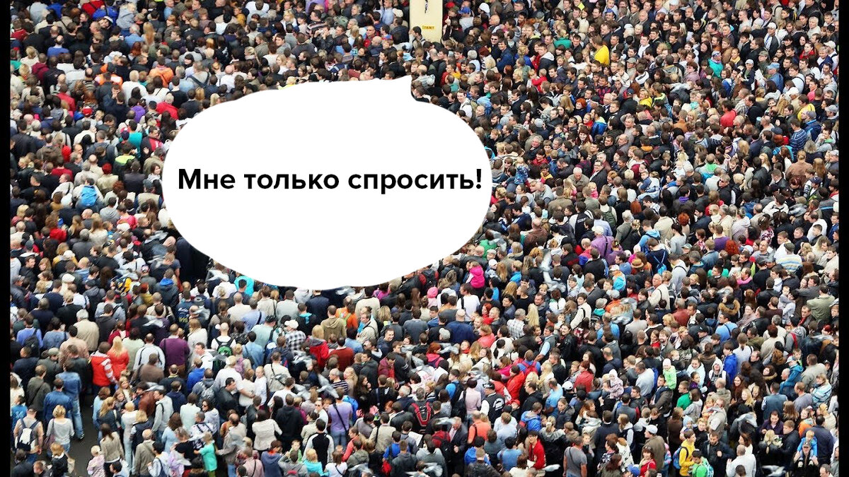 У ясеня спроси! 