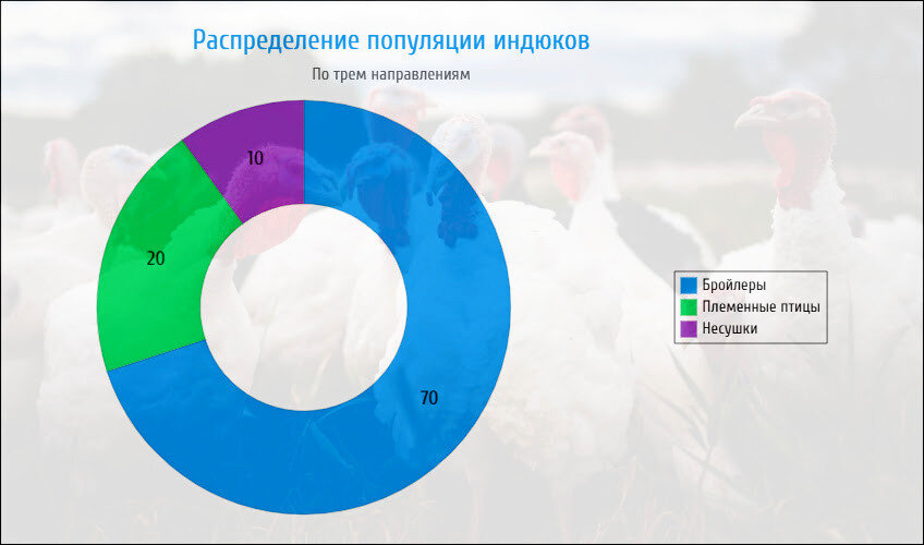 Распределение поголовья по направлениям