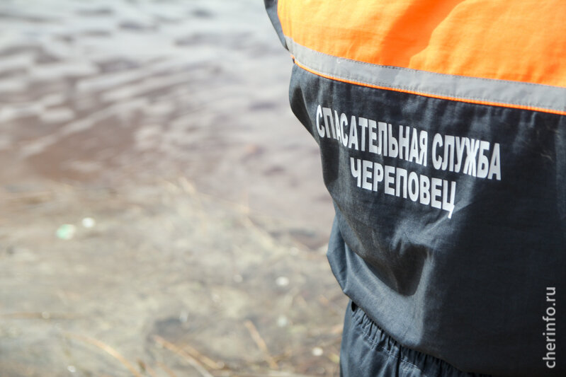    Происшествие случилось сегодня днем рядом с деревней Городище.