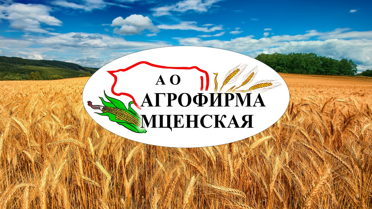 Логотип компании АФ Мценская