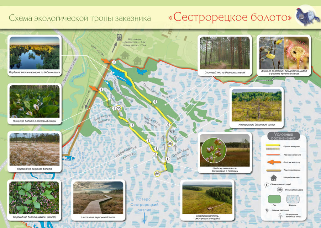 Карта болот московской области заболоченности