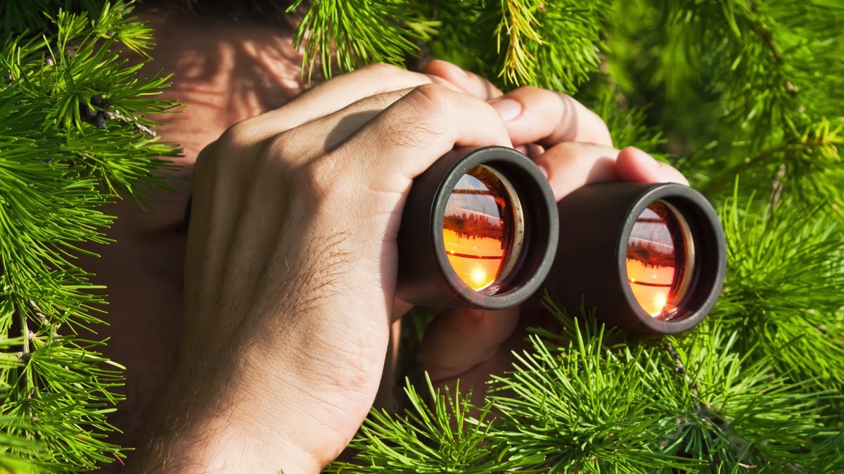 наблюдение