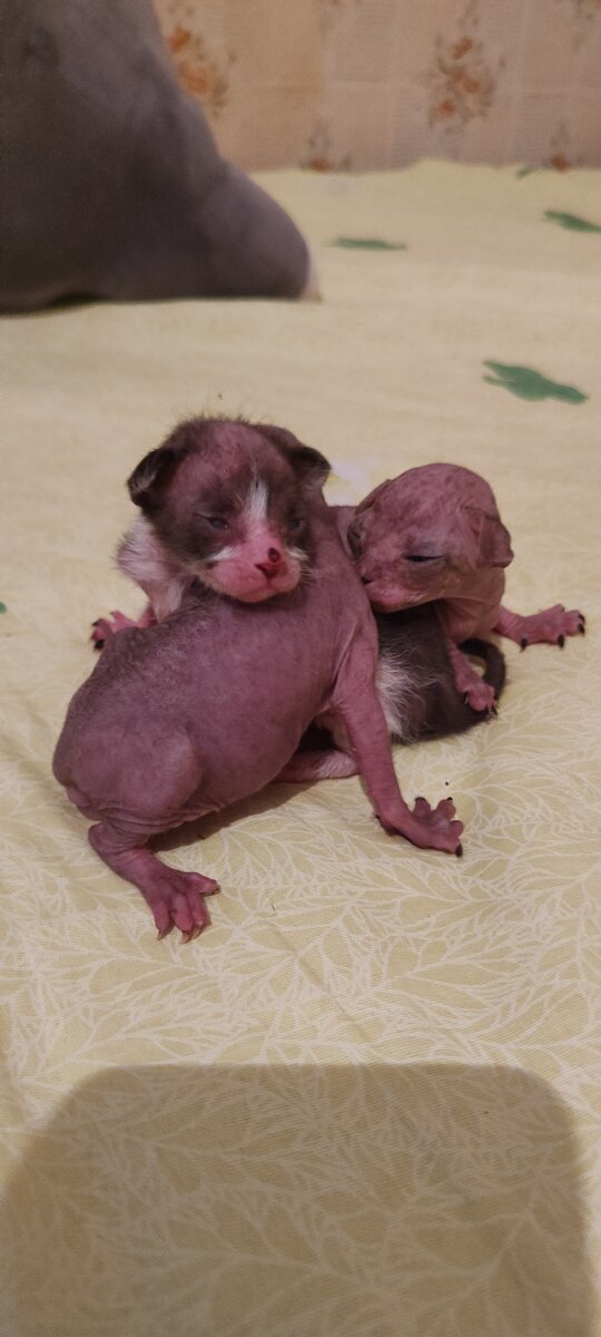 Вместе теплее