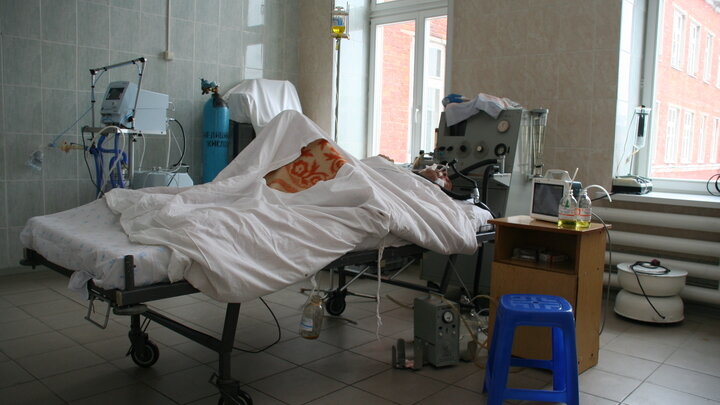 Фото: Alexandr Novikov/Globallookpress 