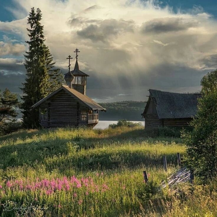 фото взято из открытых источников