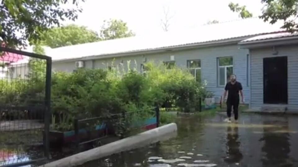 Фото: © Скриншот видео