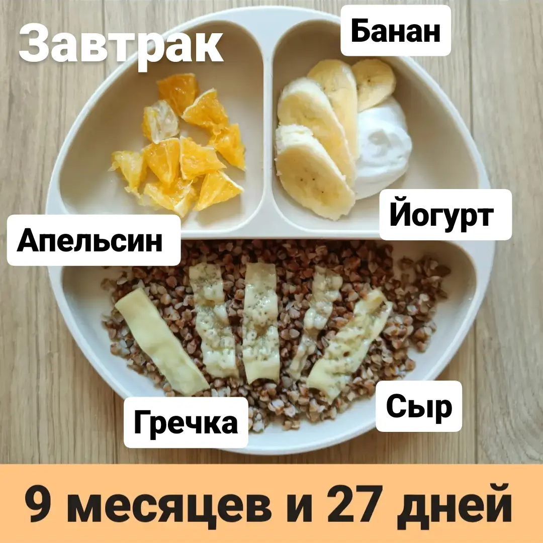 Прикорм. Тарелка 9 месяцев и 27 дней. Завтрак. | В поисках дома ❤️ Вьетнам  🇻🇳 Нячанг | Дзен