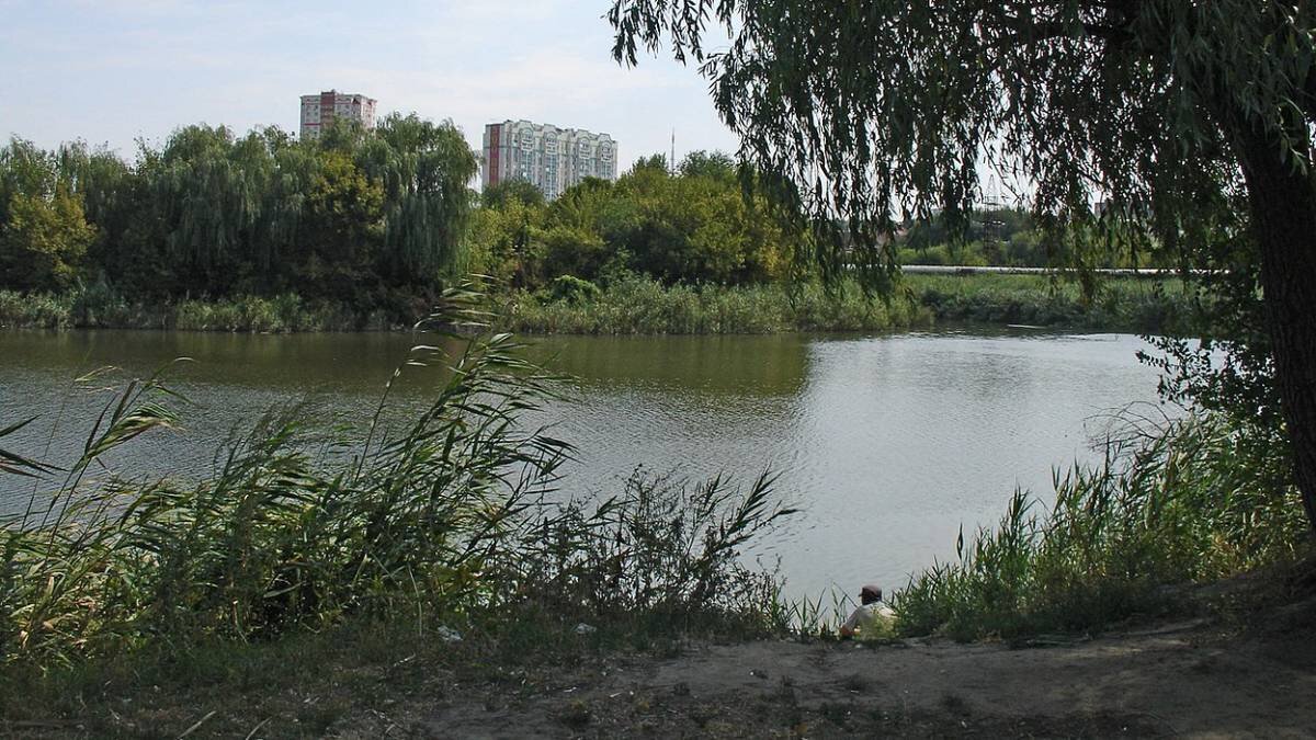    Фото: Alexander Roumega / CC BY-SA 4.0