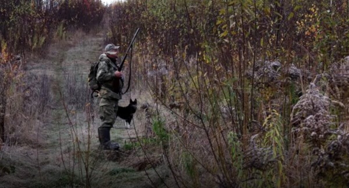 💥 ПРЕМЬЕРА! Смотрите в июле новый фильм «Осенняя охота на птицу с лайкой» популярного сериала «Охотничий инстинкт» на канале «Охотник и рыболов»! 
«Охотничий инстинкт. Сезон 2». Серия №12 «Осенняя охота на птицу с лайкой»

Охота – это не просто заготовка дичи, это прежде всего ни с чем ни сравнимое желание охотника понять зверя или птицу; почувствовать ее всем своим нутром; опередить, иногда всего лишь на одну секунду, и в конце концов заполучить долгожданный трофей. Диалоги, подчас забавные, между охотниками, размышления охотников, их интуиция и, конечно же, азарт – все это не что иное, как охотничий инстинкт.

🎬 Премьерный показ нового фильма «Осенняя охота на птицу с лайкой» второго сезона популярного сериала «Охотничий инстинкт» на канале «Охотник и рыболов» состоится 3 июля в 18:35 (мск). Повтор – 6 июля в 19.30 (мск).

Россия. 2022 (18+). Познавательно-развлекательная программа