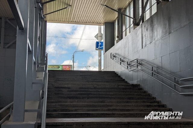    Фото: Аргументы и факты. Томск/ Дмитрий Еланаков