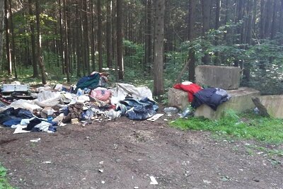    Мусор в лесу © Пресс-служба Комитета лесного хозяйства Московской области