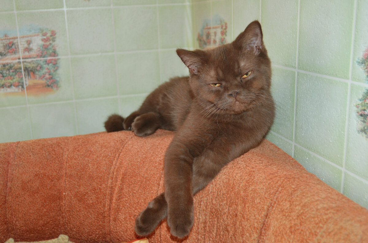 Щас спрячусь куда-нибудь