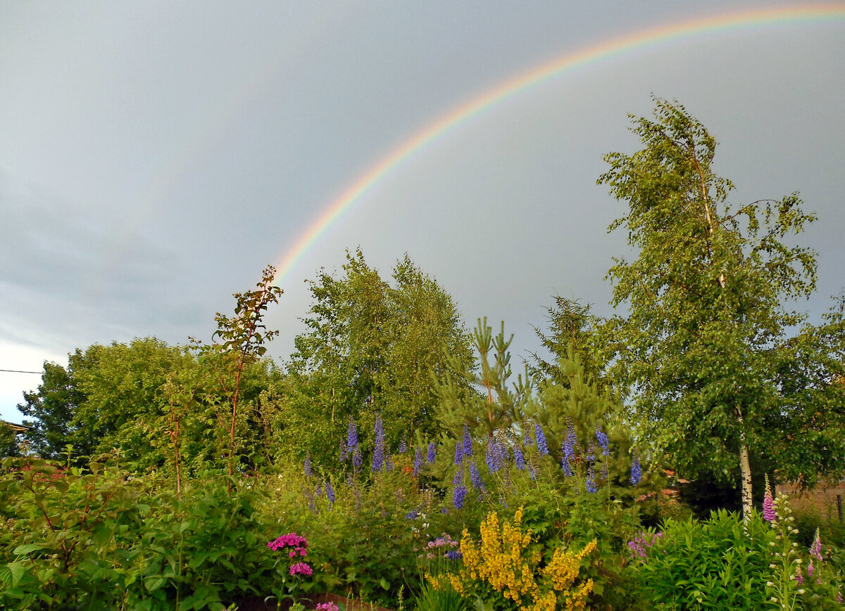 Радуга над дачей. Фото Наталии ТРОФИМОВОЙ.